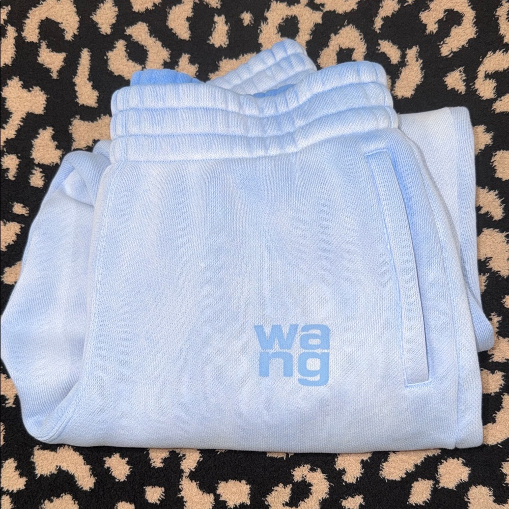 Alexander Wang Sky Blue Joggers